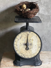 Load image into Gallery viewer, Antique Colombia Farmhouse Cast Iron Scales USA