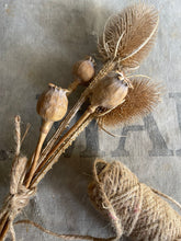 Load image into Gallery viewer, Farmhouse Dried Poppy &amp; Teasel Pods Locally Grown in NSW.