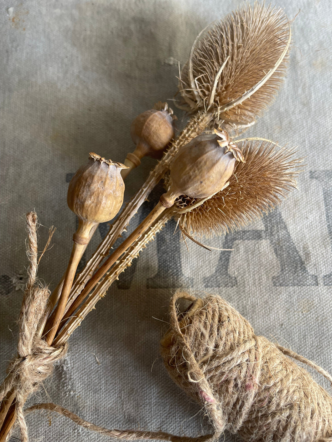 Farmhouse Dried Poppy & Teasel Pods Locally Grown in NSW.