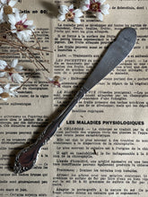 Load image into Gallery viewer, Vintage Silver Pâte Knife.