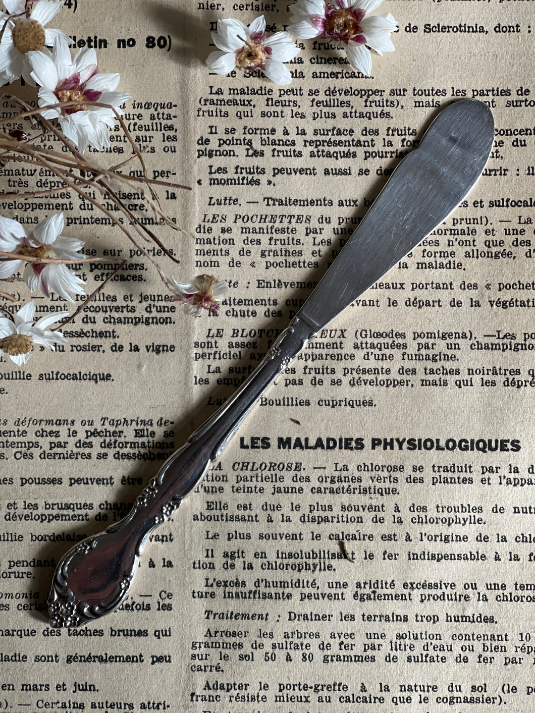Vintage Silver Pâte Knife.