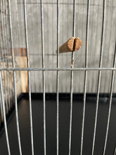 Load image into Gallery viewer, Vintage Farmhouse Metal &amp; Wire Work Bird Cage - Circa 1950.