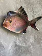 Load image into Gallery viewer, Vintage ‘Wembley’ Lustre Ware Fish Plate - Circa 1950.