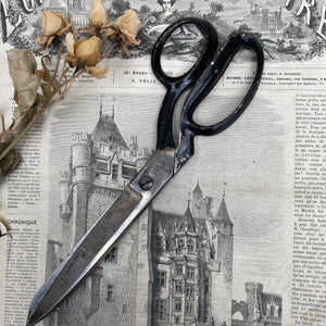 Vintage Scissors W.Whiteley Sheffield UK Large