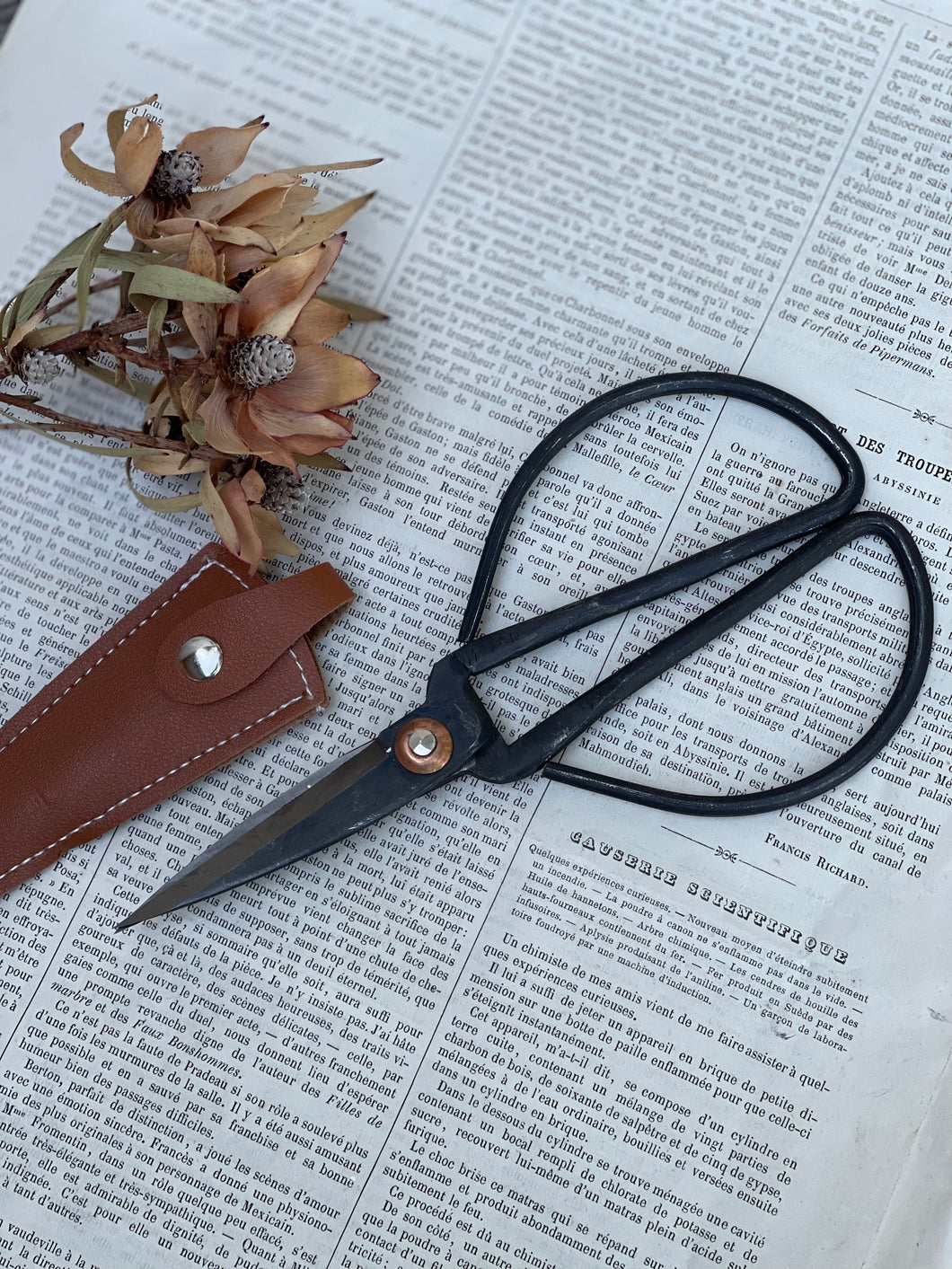 Forged Steel Scissors With Sheath.