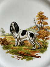 Load image into Gallery viewer, Vintage Cocker Spaniel Plate.