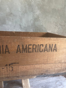 Large Antique Encyclopaedia Americana Box Circa 1920.
