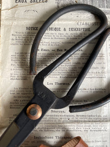 Forged Steel Scissors With Sheath - Larger Size