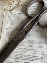 Load image into Gallery viewer, Antique Scissors With Tracing Wheel Handle - Sheffield UK.