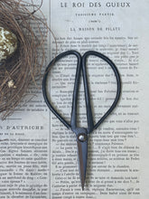 Load image into Gallery viewer, Forged Steel Scissors.
